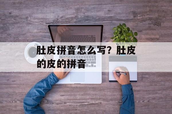 肚皮拼音怎么写？肚皮的皮的拼音-第1张图片-