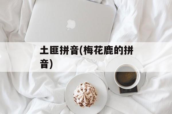土匪拼音(梅花鹿的拼音)-第1张图片-