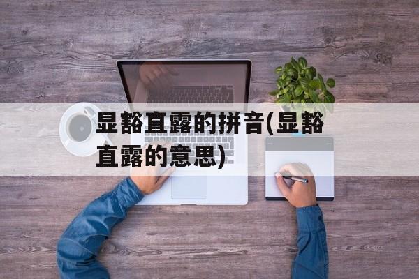 显豁直露的拼音(显豁直露的意思)-第1张图片-