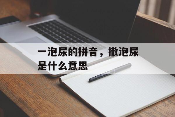 一泡尿的拼音，撒泡尿是什么意思-第1张图片-