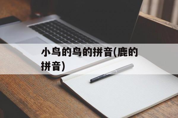 小鸟的鸟的拼音(鹿的拼音)-第1张图片-