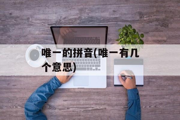 唯一的拼音(唯一有几个意思)-第1张图片-