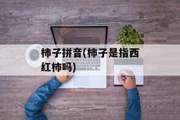 柿子拼音(柿子是指西红柿吗)-第1张图片-