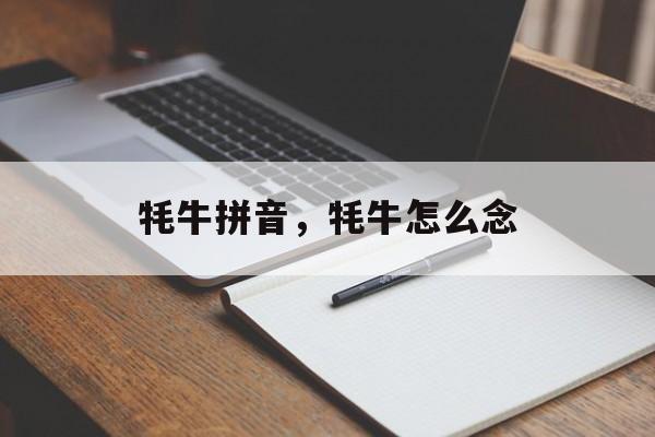 牦牛拼音，牦牛怎么念-第1张图片-