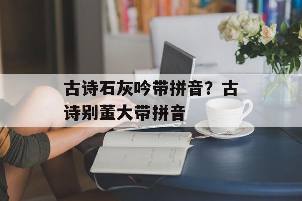 古诗石灰吟带拼音？古诗别董大带拼音-第1张图片-