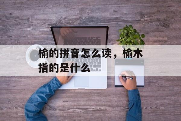 榆的拼音怎么读，榆木指的是什么-第1张图片-