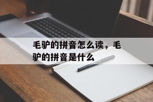 毛驴的拼音怎么读，毛驴的拼音是什么-第1张图片-