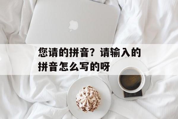 您请的拼音？请输入的拼音怎么写的呀-第1张图片-