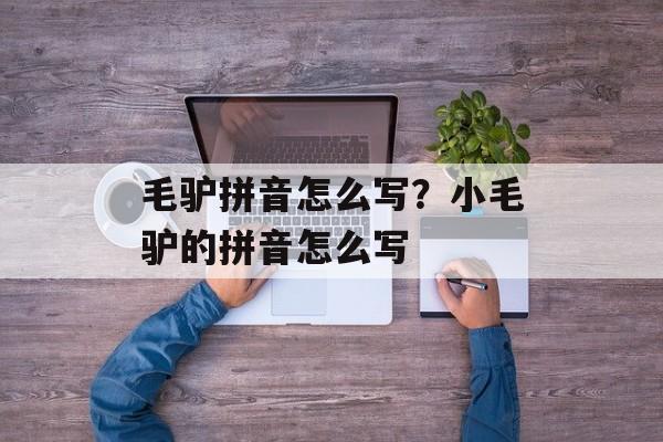 毛驴拼音怎么写？小毛驴的拼音怎么写-第1张图片-