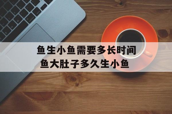 鱼生小鱼需要多长时间 鱼大肚子多久生小鱼-第1张图片-