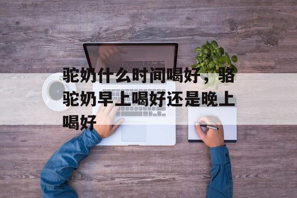 驼奶什么时间喝好，骆驼奶早上喝好还是晚上喝好-第1张图片-