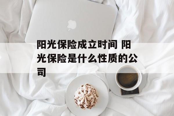 阳光保险成立时间 阳光保险是什么性质的公司-第1张图片-