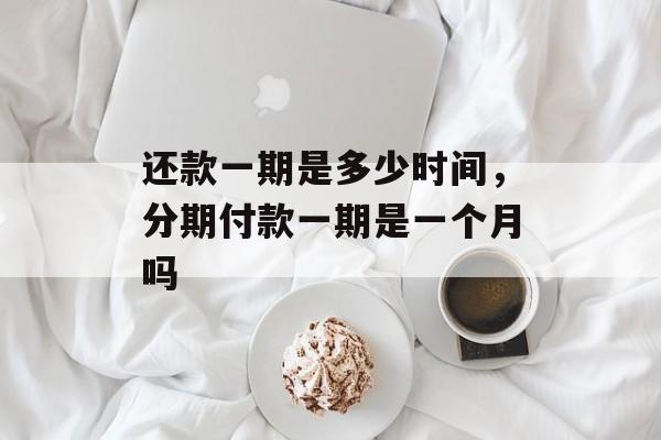 还款一期是多少时间，分期付款一期是一个月吗-第1张图片-
