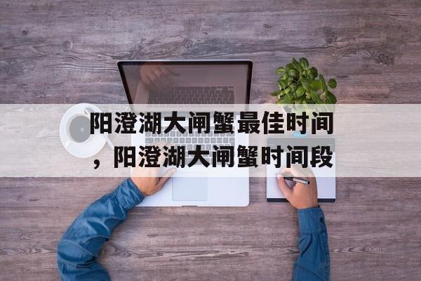 阳澄湖大闸蟹最佳时间，阳澄湖大闸蟹时间段-第1张图片-