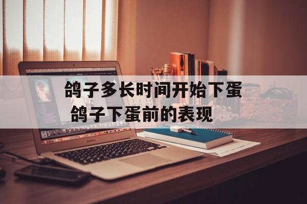 鸽子多长时间开始下蛋 鸽子下蛋前的表现-第1张图片-