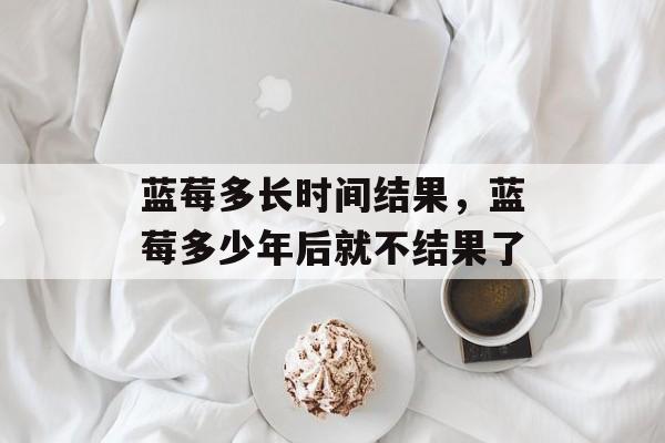 蓝莓多长时间结果，蓝莓多少年后就不结果了-第1张图片-