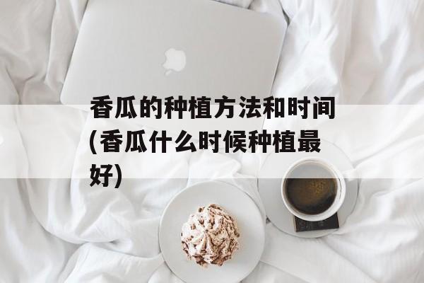 香瓜的种植方法和时间(香瓜什么时候种植最好)-第1张图片-