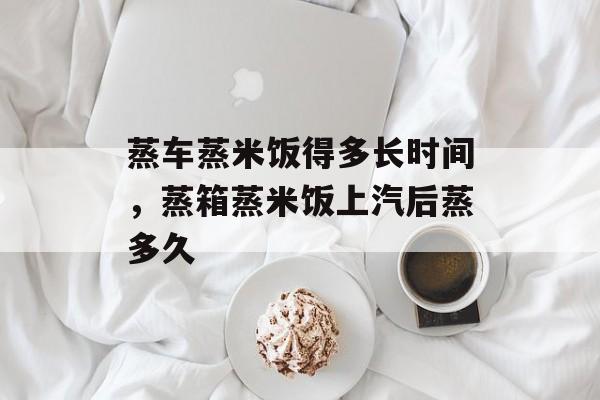 蒸车蒸米饭得多长时间，蒸箱蒸米饭上汽后蒸多久-第1张图片-