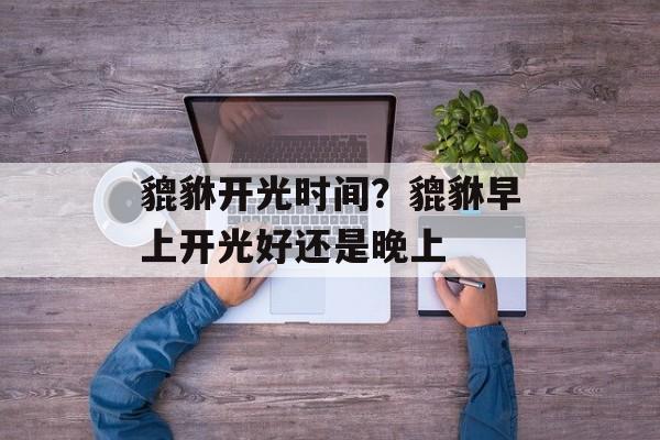 貔貅开光时间？貔貅早上开光好还是晚上-第1张图片-