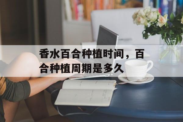 香水百合种植时间，百合种植周期是多久-第1张图片-