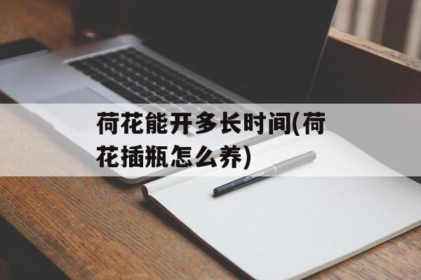荷花能开多长时间(荷花插瓶怎么养)-第1张图片-
