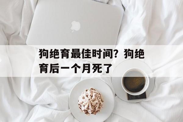 狗绝育最佳时间？狗绝育后一个月死了-第1张图片-