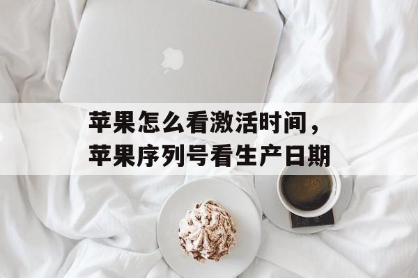 苹果怎么看激活时间，苹果序列号看生产日期-第1张图片-