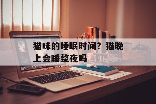 猫咪的睡眠时间？猫晚上会睡整夜吗-第1张图片-