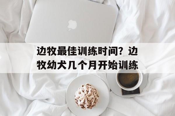 边牧最佳训练时间？边牧幼犬几个月开始训练-第1张图片-