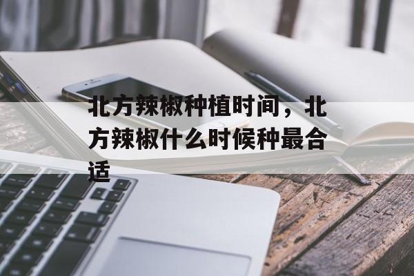 北方辣椒种植时间，北方辣椒什么时候种最合适-第1张图片-