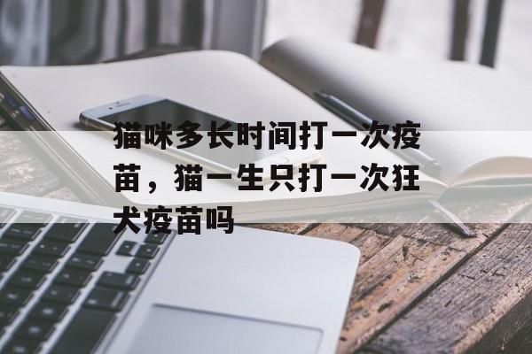 猫咪多长时间打一次疫苗，猫一生只打一次狂犬疫苗吗-第1张图片-