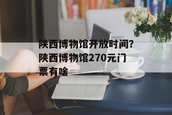 陕西博物馆开放时间？陕西博物馆270元门票有啥-第1张图片-