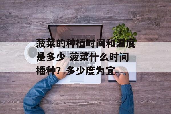 菠菜的种植时间和温度是多少 菠菜什么时间播种？多少度为宜-第1张图片-