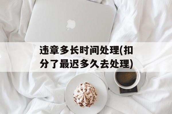 违章多长时间处理(扣分了最迟多久去处理)-第1张图片-