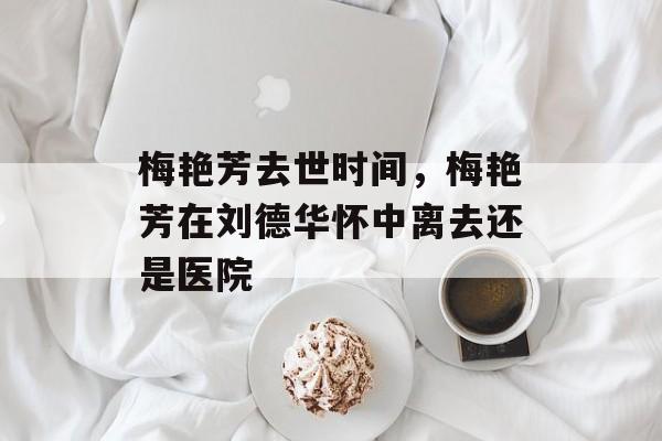 梅艳芳去世时间，梅艳芳在刘德华怀中离去还是医院-第1张图片-