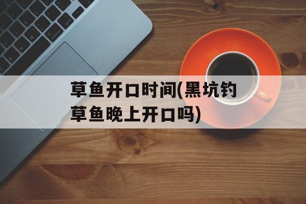 草鱼开口时间(黑坑钓草鱼晚上开口吗)-第1张图片-