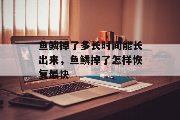 鱼鳞掉了多长时间能长出来，鱼鳞掉了怎样恢复最快-第1张图片-