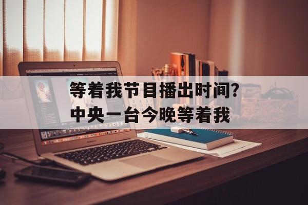 等着我节目播出时间？中央一台今晚等着我-第1张图片-