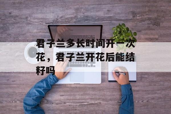 君子兰多长时间开一次花，君子兰开花后能结籽吗-第1张图片-