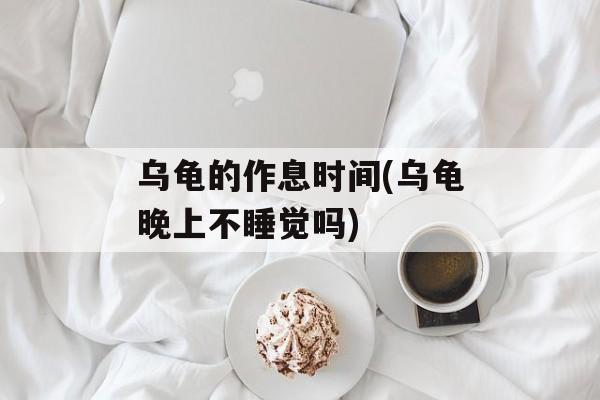 乌龟的作息时间(乌龟晚上不睡觉吗)-第1张图片-
