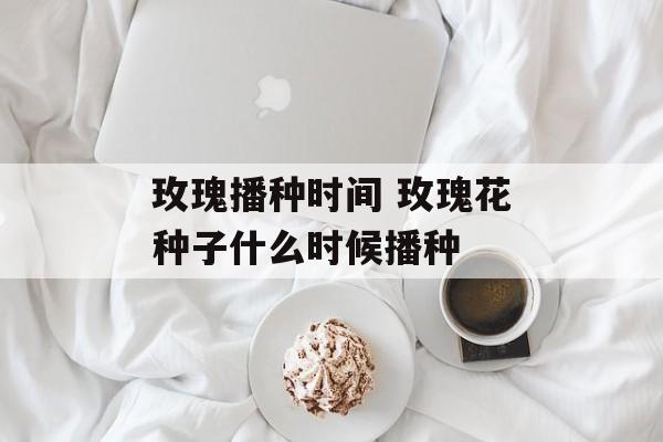 玫瑰播种时间 玫瑰花种子什么时候播种-第1张图片-