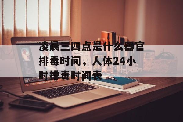 凌晨三四点是什么器官排毒时间，人体24小时排毒时间表-第1张图片-