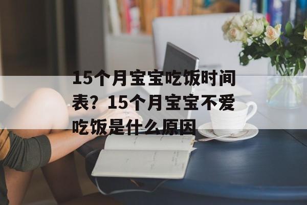 15个月宝宝吃饭时间表？15个月宝宝不爱吃饭是什么原因-第1张图片-