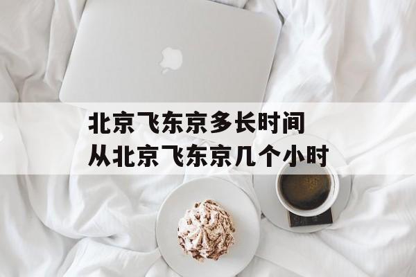 北京飞东京多长时间 从北京飞东京几个小时-第1张图片-