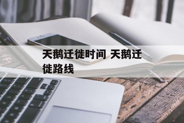 天鹅迁徙时间 天鹅迁徙路线-第1张图片-