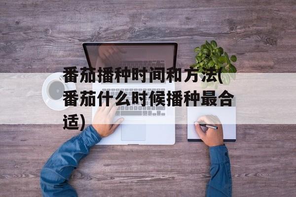 番茄播种时间和方法(番茄什么时候播种最合适)-第1张图片-