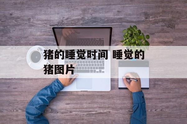猪的睡觉时间 睡觉的猪图片-第1张图片-