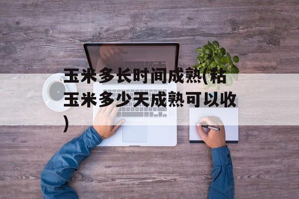 玉米多长时间成熟(粘玉米多少天成熟可以收)-第1张图片-