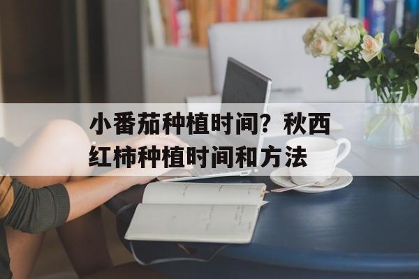 小番茄种植时间？秋西红柿种植时间和方法-第1张图片-
