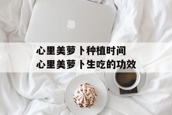 心里美萝卜种植时间 心里美萝卜生吃的功效-第1张图片-